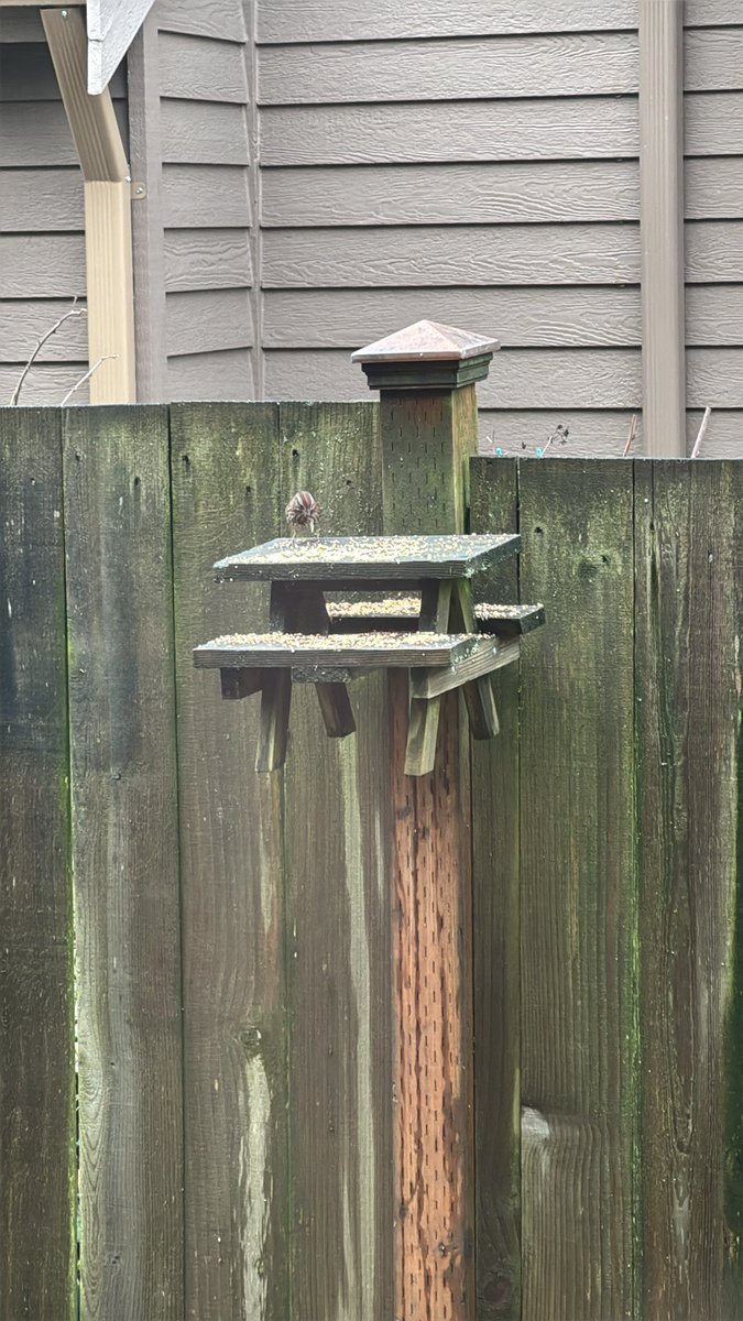 UMEASUREIT tweet media