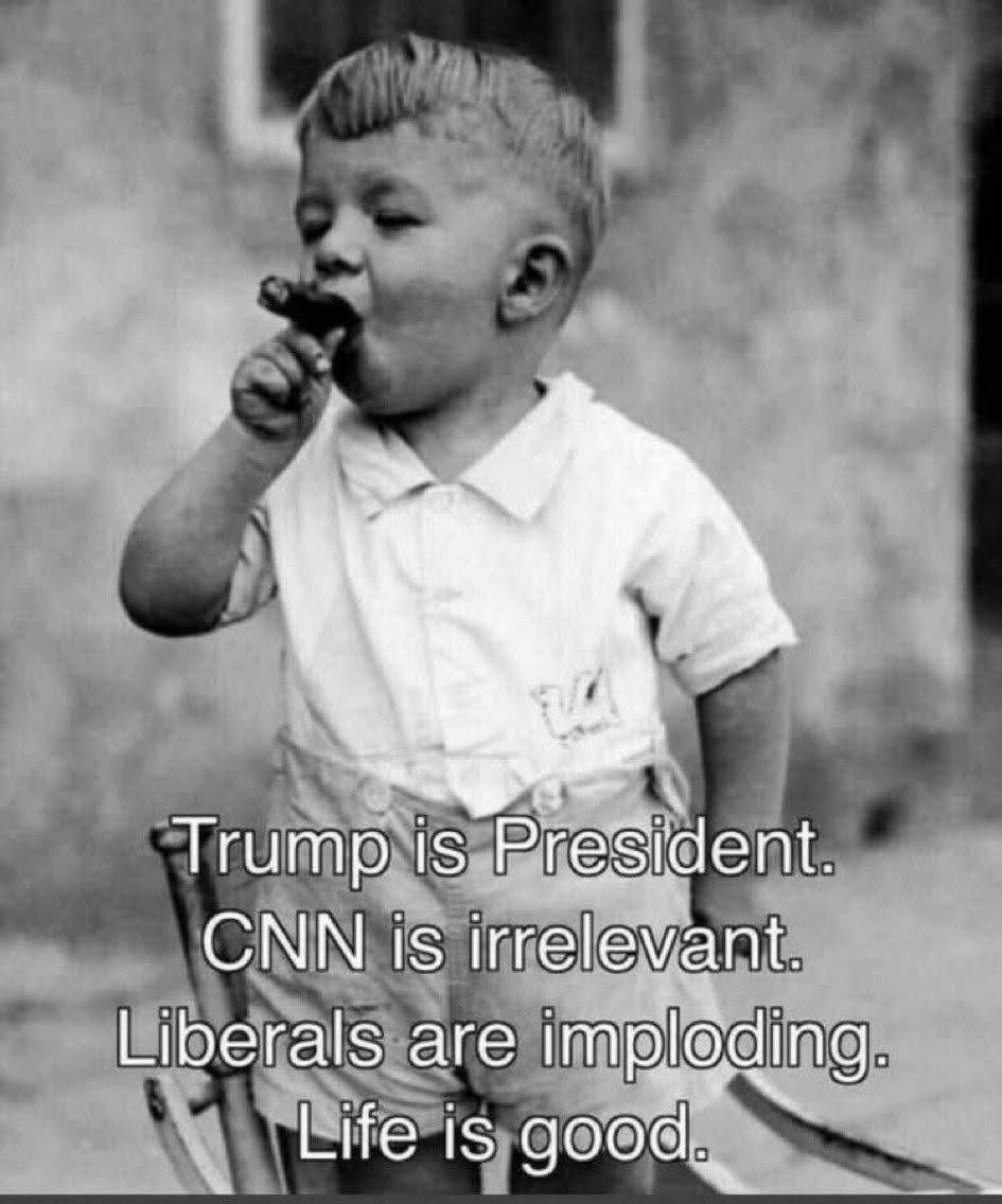 Bultitude60's tweet photo. @TheDemCoalition https://t.co/fcYof3hjmo