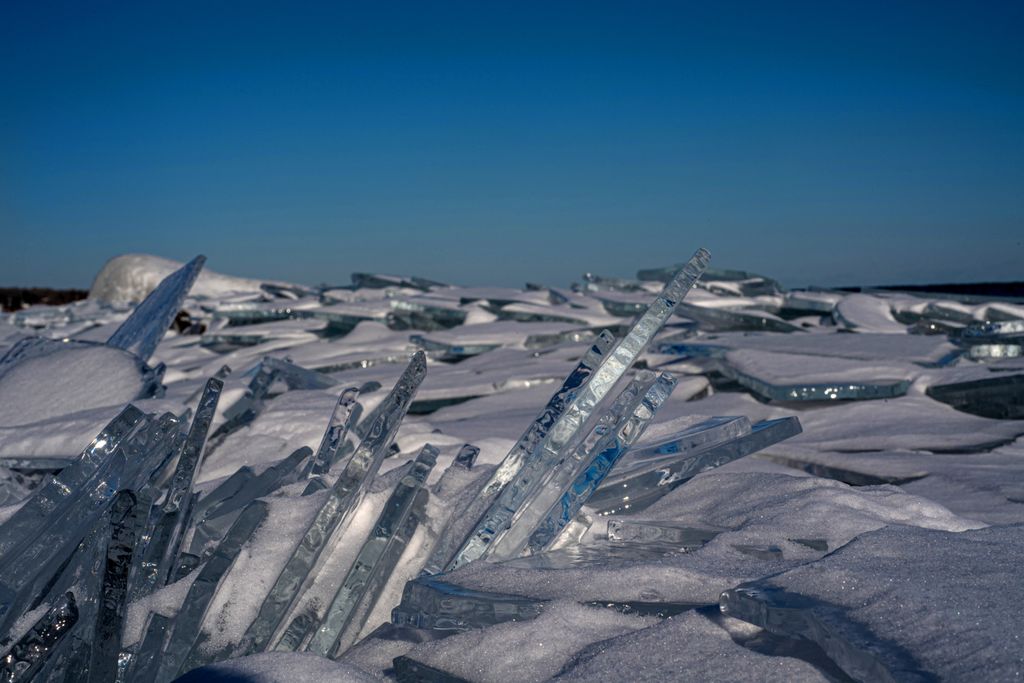 Minnesota Sea Grant | MNSG tweet media