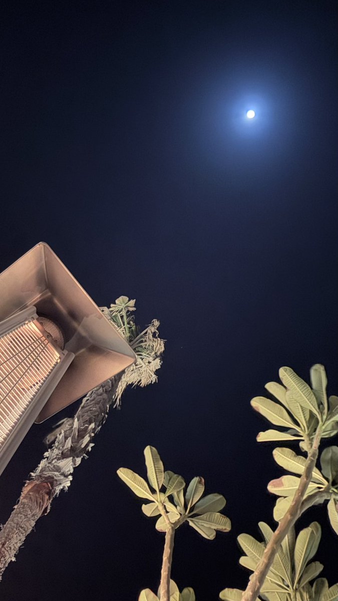 OF_saaa's tweet image. January so far