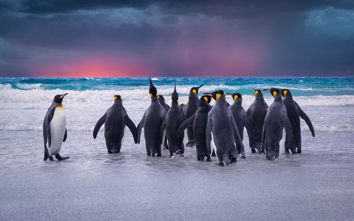 W6MOQ's tweet photo. 📡🛰 New series: #satellite hunter!
#hamradio satellites Đ𝕏CC #SAT
10/10: #MoEP~#Penguinday 🐧🐧 
🛰🛰🛰 @grok G 🪐🪐 Đ𝕏 💯 🇦🇶🇦🇶 
📌 @moep__tr; @maathorubhagan; @SusanREaton_Geo; @kejamieson_ 🛰🐧🛰🐧🛰🐧 https://t.co/IAtPH1xVvJ