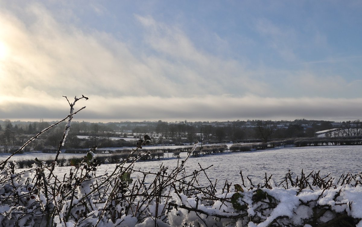 Edel Mairs tweet media