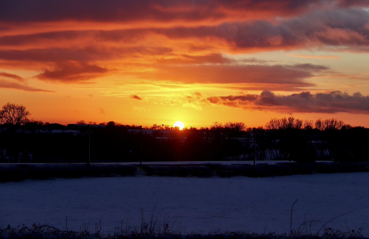 Edel Mairs tweet media