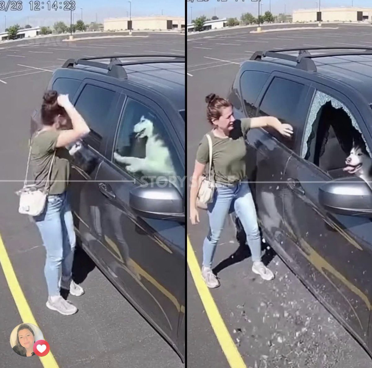 High school teacher Amanda was walking to her car on a sweltering June day when she heard barking from a vehicle. Inside a locked SUV sat two Huskies, windows barely cracked, panting heavily. 

Amanda checked—no owner nearby, doors locked. She waited five minutes, watching the