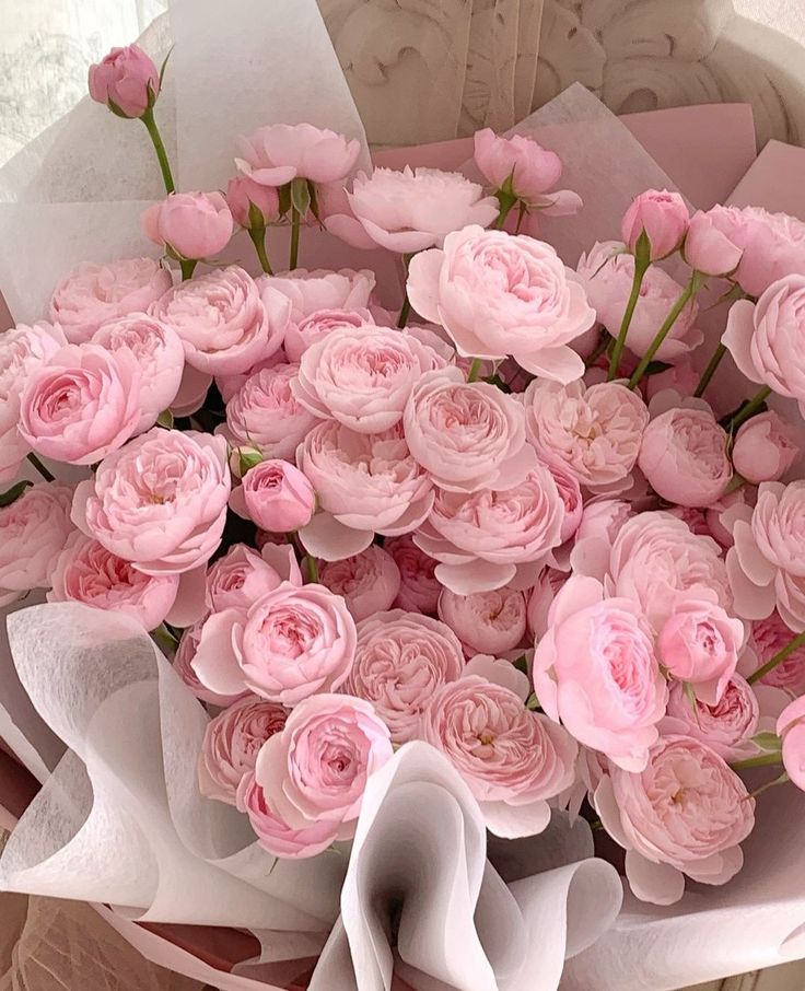 FlowersLife54's tweet photo. https://t.co/na4uyvPMAl