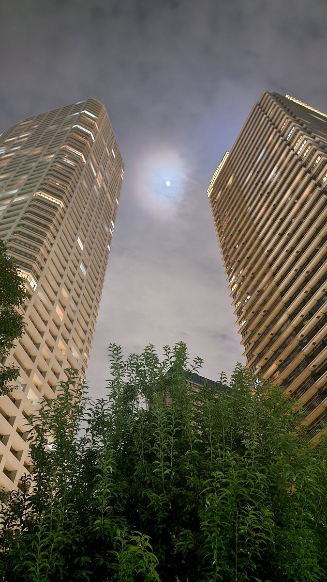 オレンジパブ tweet media