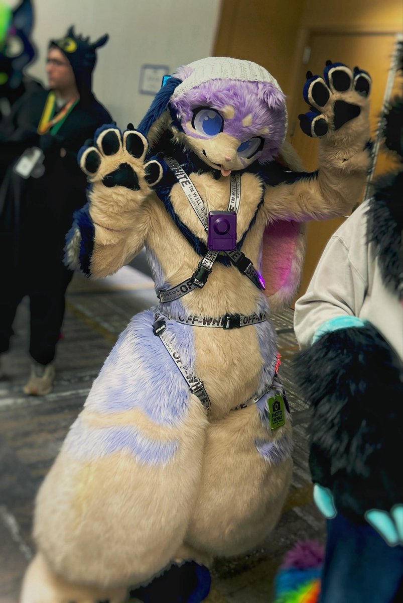 snow_bundle's tweet photo. Had so much fun with my friends at Anthronorthwest :D

#anthronorthwest #furry https://t.co/47CVCE8Hqk