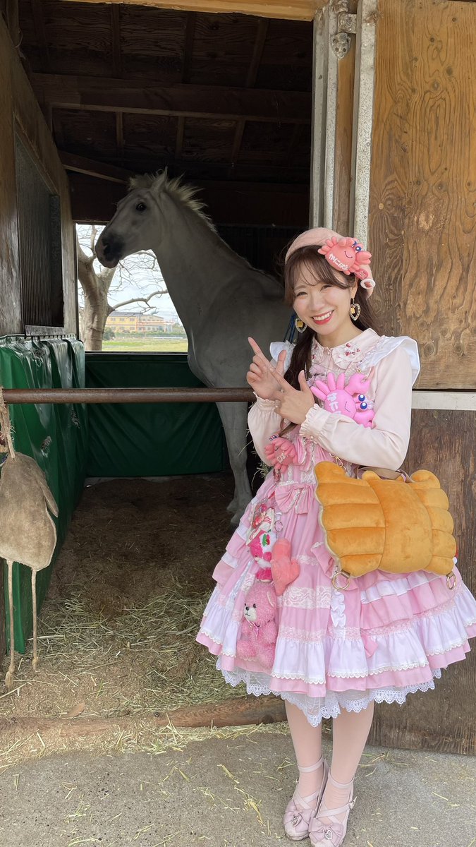 かにぱん枠 NSP 鋼製型枠 ワンタッチスライドパネル 450H 調整幅450~750mm 品番