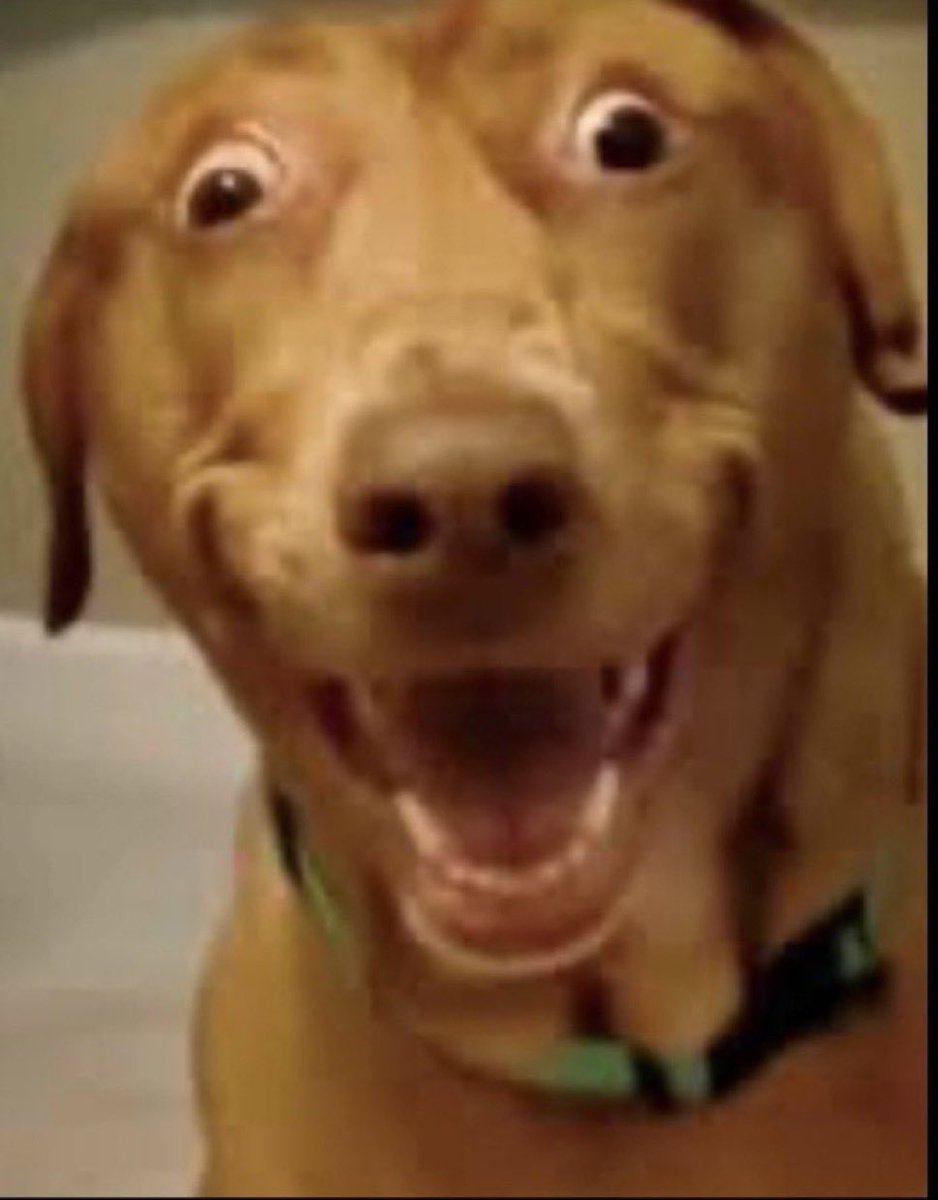 coldestclips's tweet image. 