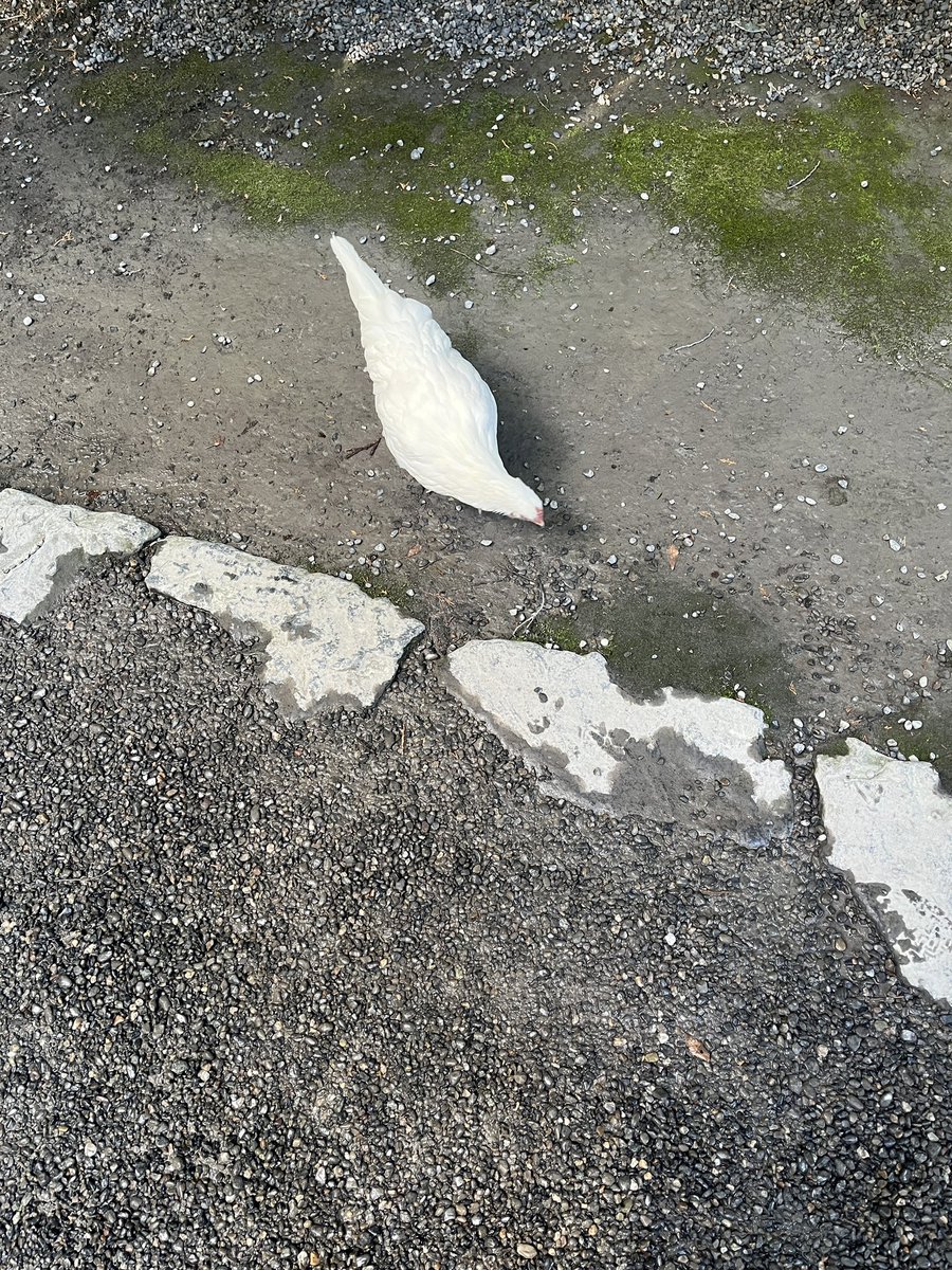 戦車修理奴隷 tweet media