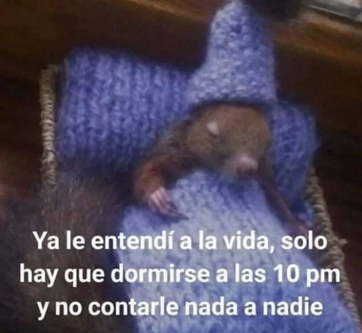 conoloracigarro's tweet photo. https://t.co/oVp7z2T9O2