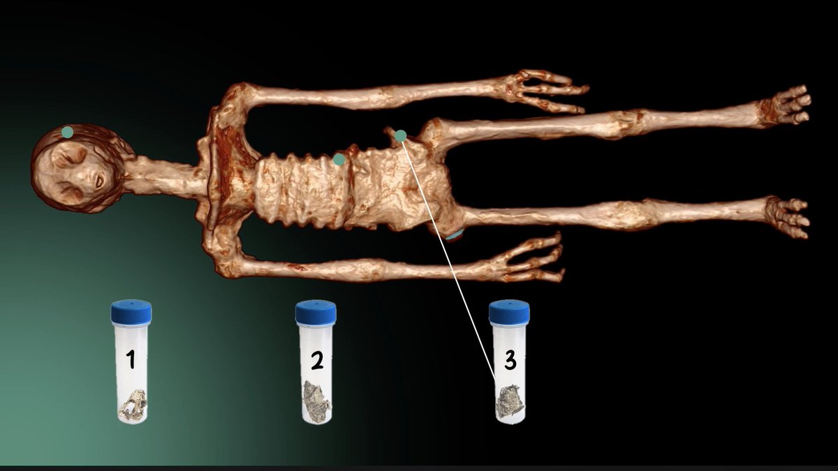 Nazca Mummies tweet media