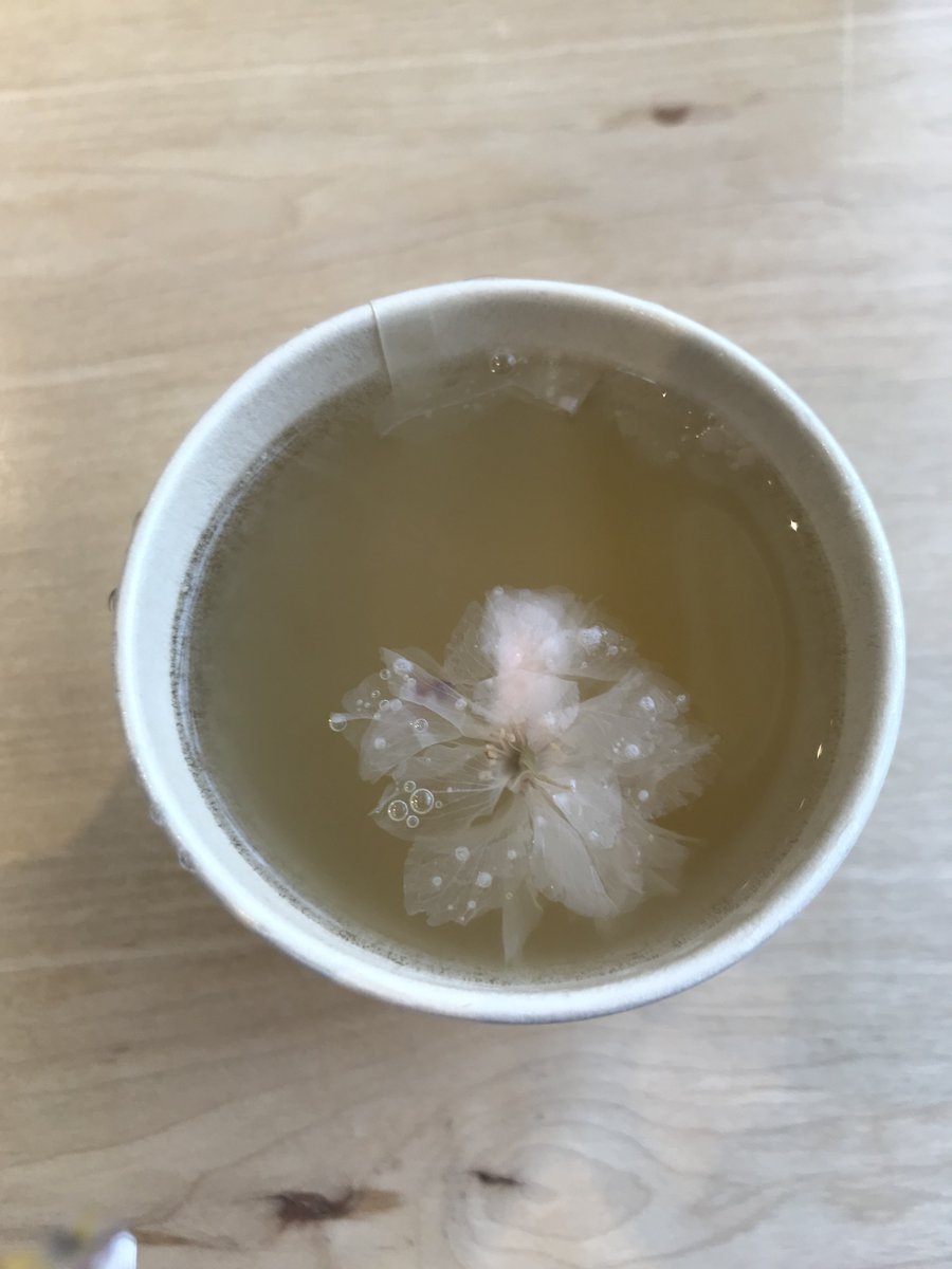 0school_sapporo's tweet photo. 今年初のゼロスクブログ更新しました！ 
第2回はシステム開発実務演習についてです。
是非見てみてください～！
https://t.co/onIuGh8F5L
説明会も随時行っています！
https://t.co/b8xIHHsGlF

#IT #プログラマー #エンジニア #PG #札幌 #未経験 #無料 #スクール #転職 #説明会 #SE https://t.co/KMS7AmWXOa