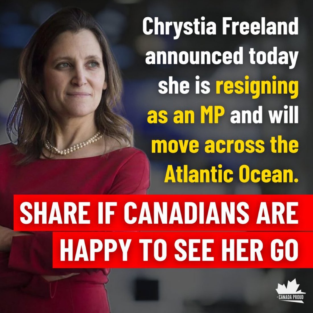 Concerned Canadian tweet media