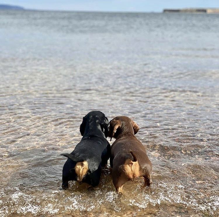 Sk/上海外围/北京外围/深圳外围/厦门/贵阳/南昌/南宁/珠海/福州/温州/无锡/合肥/宁波/沈阳 tweet media