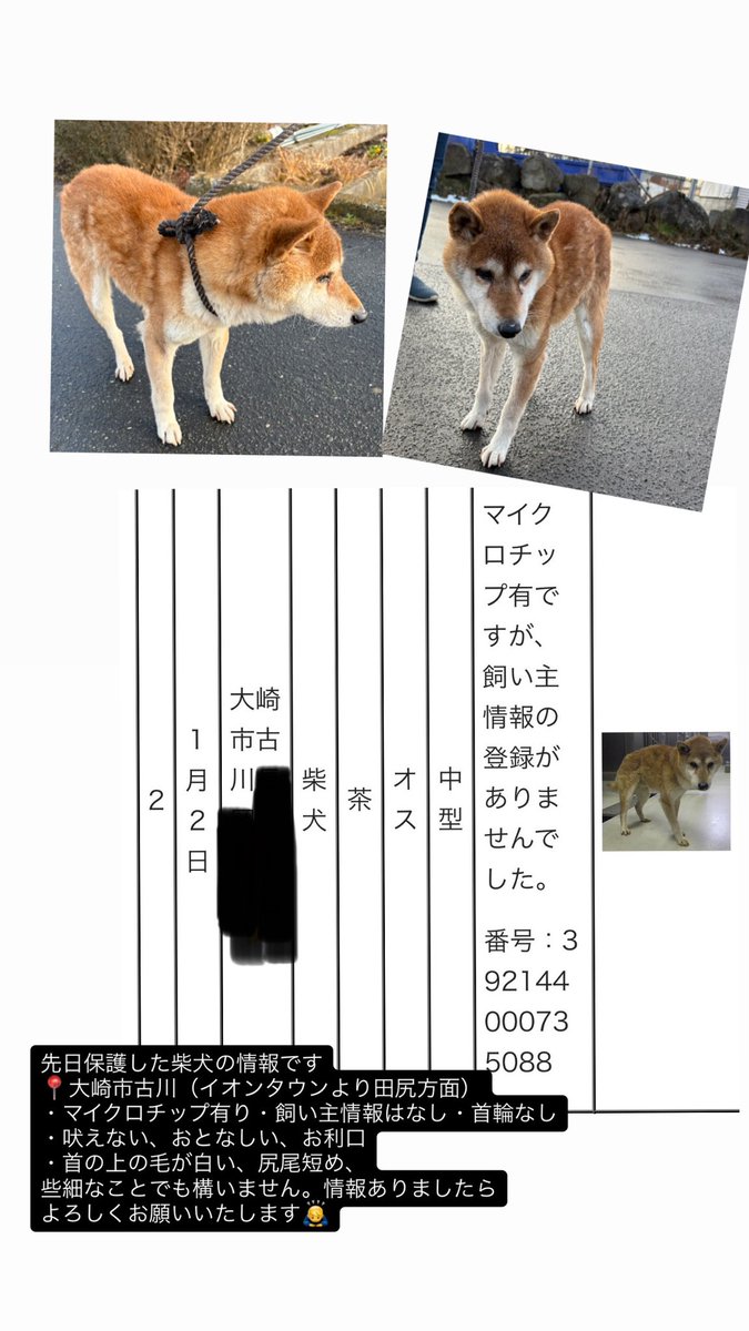 佐藤🌿 tweet media