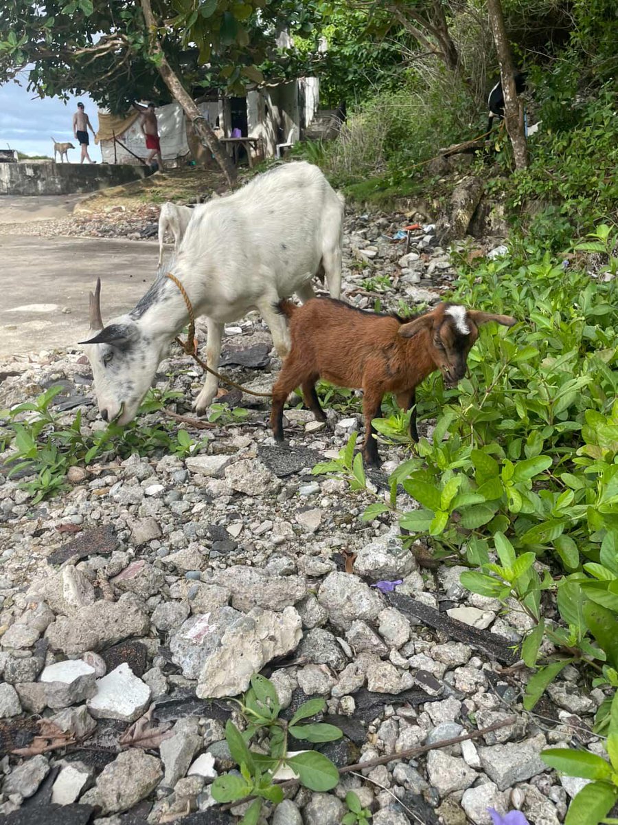 jar COMMS ARE OPEN tweet media