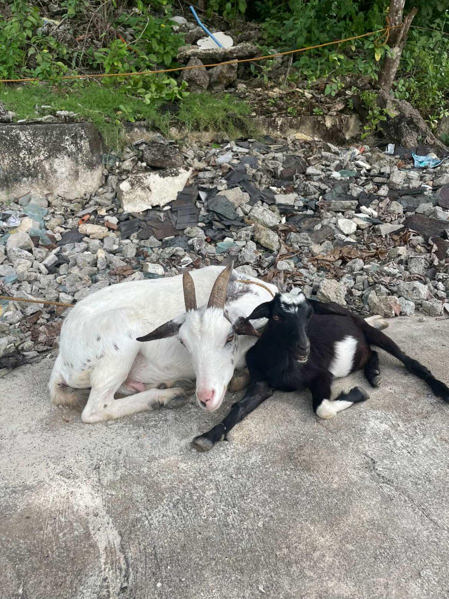 jar COMMS ARE OPEN tweet media