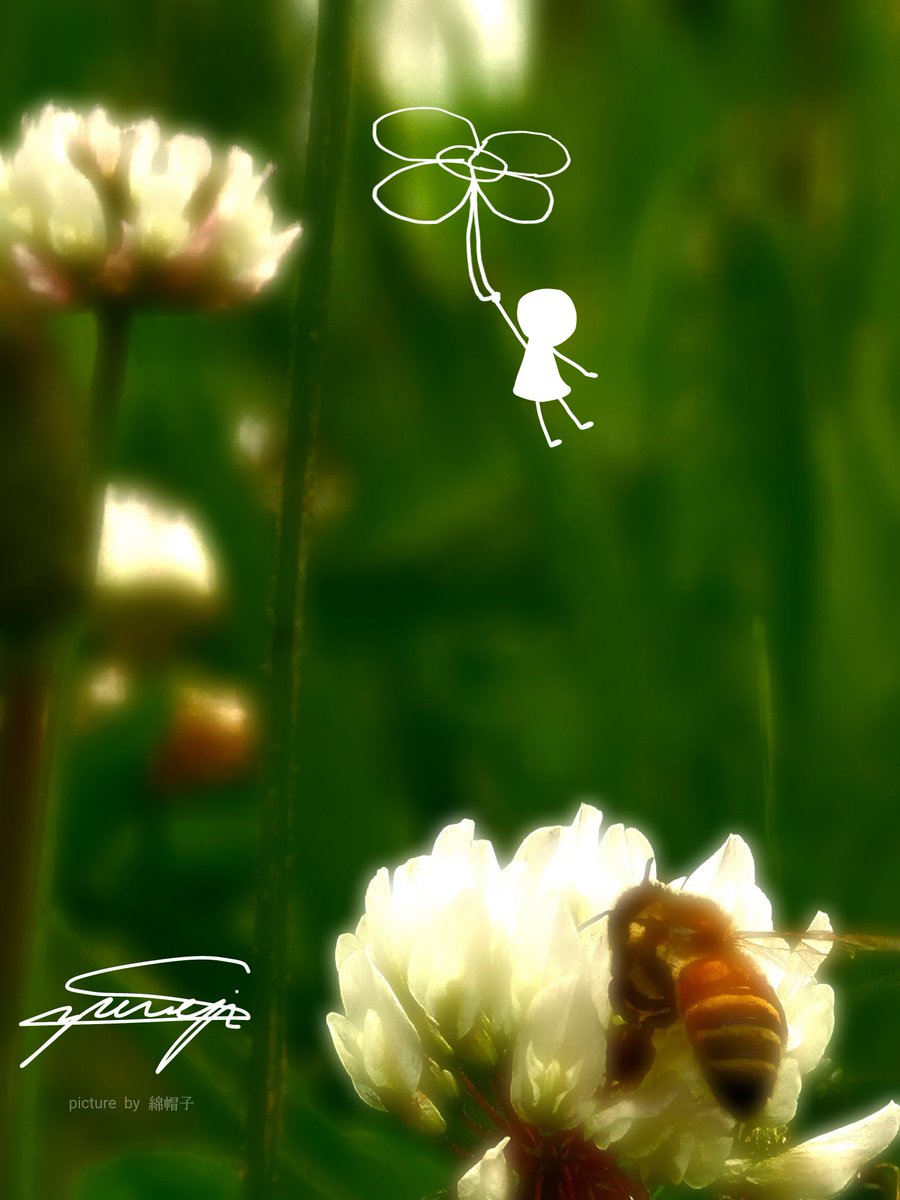 一緒に行けるかい？

 #綿帽子のキリトリ世界