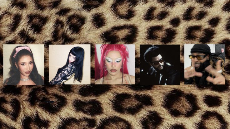 miu ﾒ𝟶🐆 tweet media