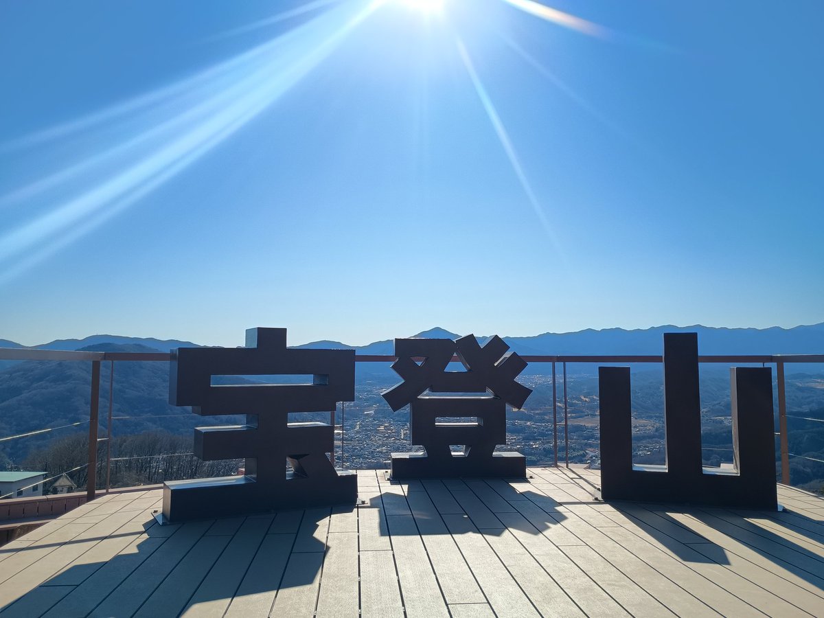 dr_zinn's tweet photo. 蝋梅みてきました🖐️ https://t.co/aVs45KumG4