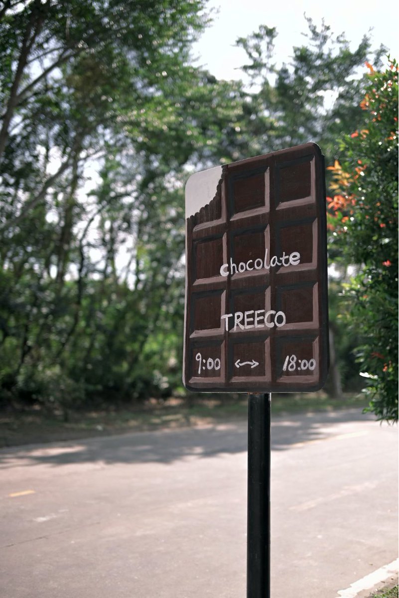 Ever wonder how your #chocolate is made? I spent a day in a #Hainan #cacao plantation to find out! In #Wanning, Hainan, from picking the colorful pods right off the trunk, to cracking, grinding, and finally molding my own chocolate bar – it was an unforgettable, hands-on journey.