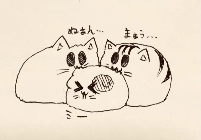 仲良し🐱🐱🐯 