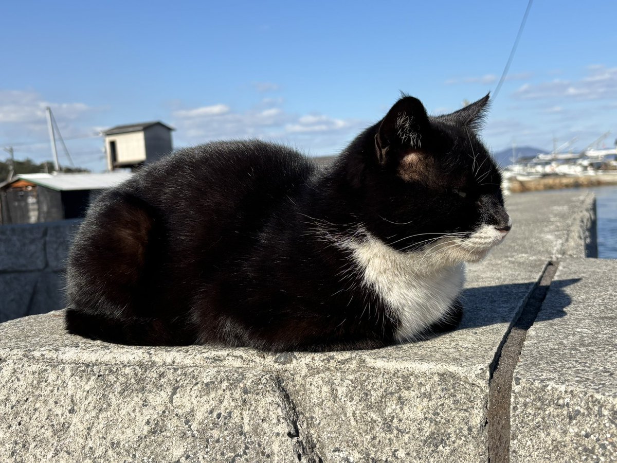岡山県南部結構揺れた　震度3

瀬戸内海は比較的穏やかなのに、、、

みなさまお気をつけてお過ごしください🙏

#緊急地震速報
#鳥取島根地震震度5