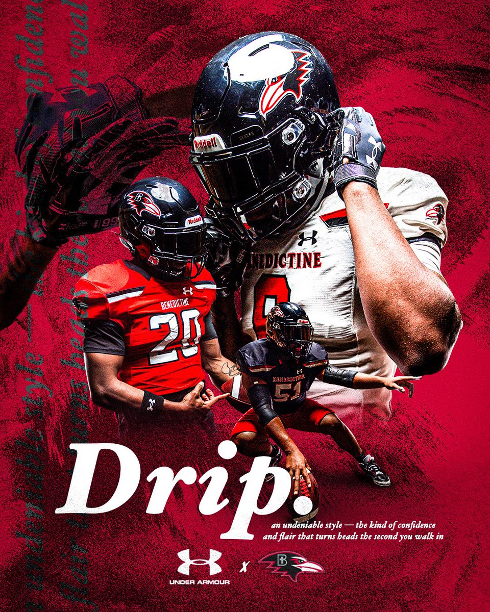 Dominic Tortorelli tweet media