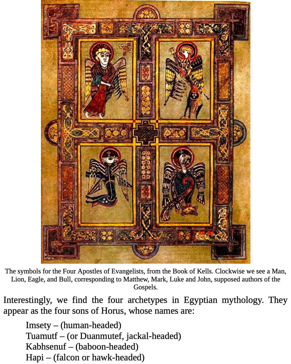 🧬Maxpein🧬 tweet media