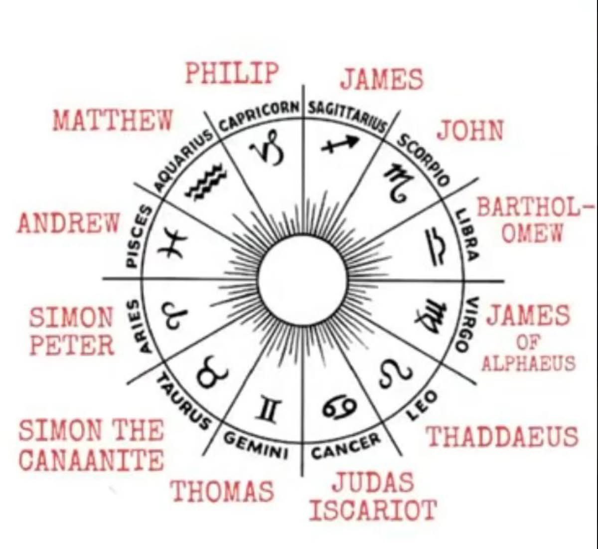 🧬Maxpein🧬 tweet media