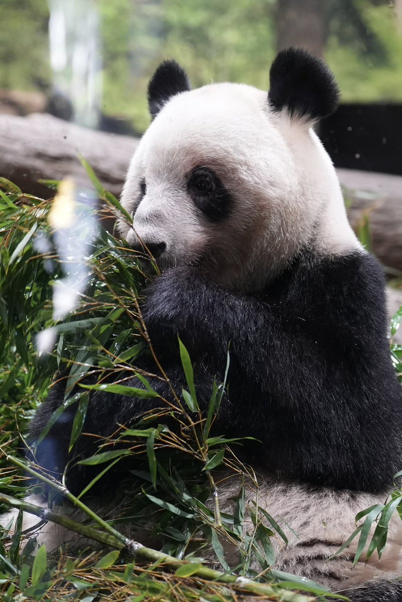 キュートなお目目