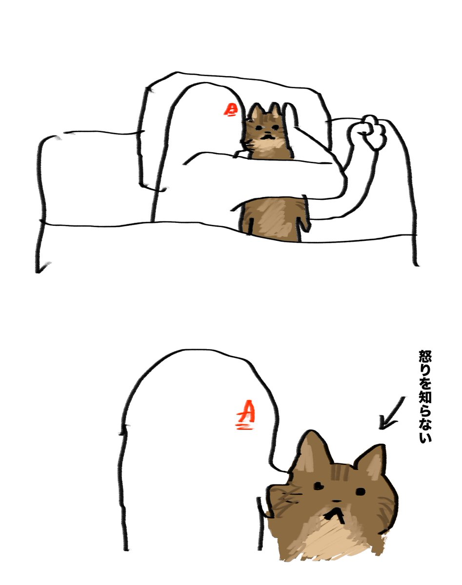 【自慢】
最近““““““これ”””””で寝てます