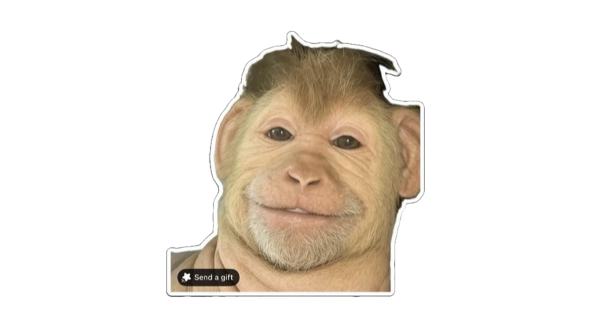 Phu Nguyen tweet media