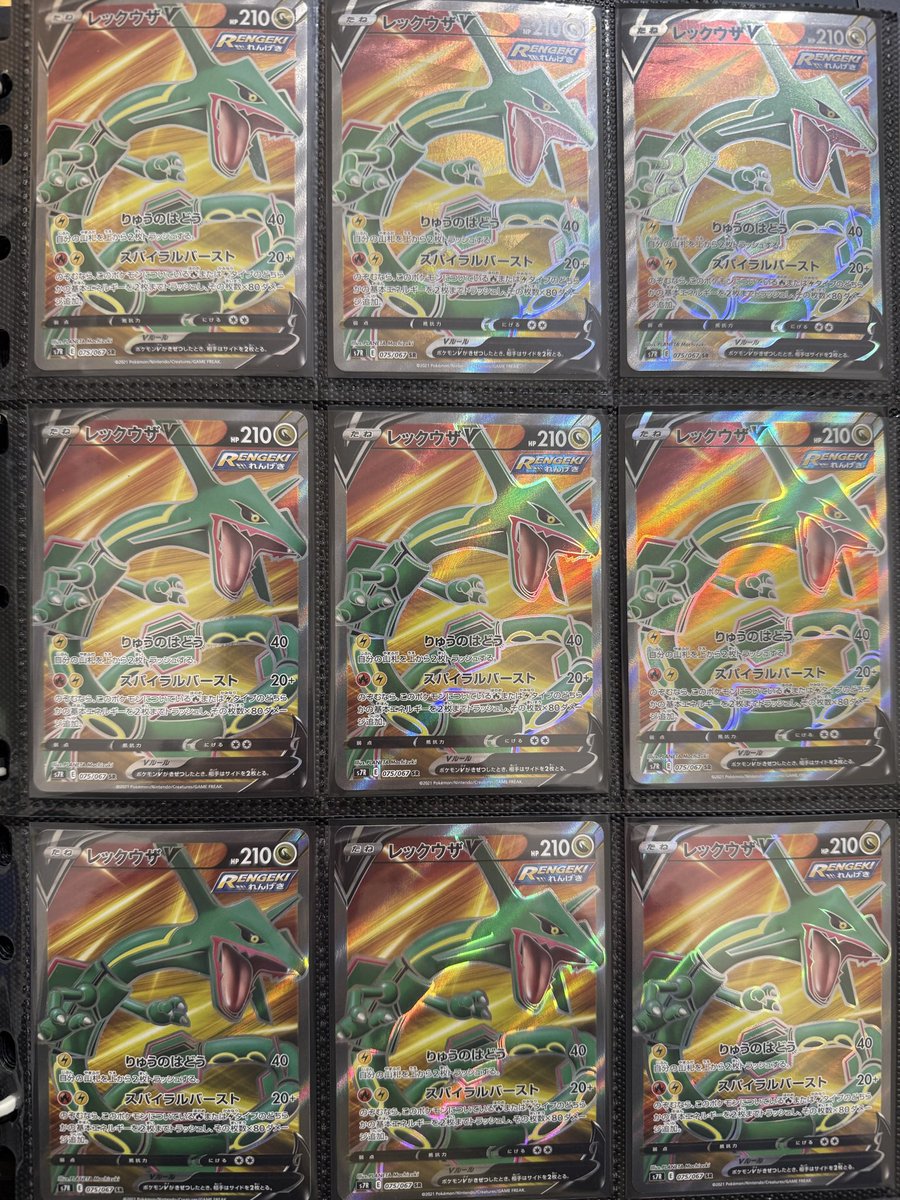 hobbytimevvv's tweet photo. リザとレックウザ https://t.co/iHhhCakQeJ