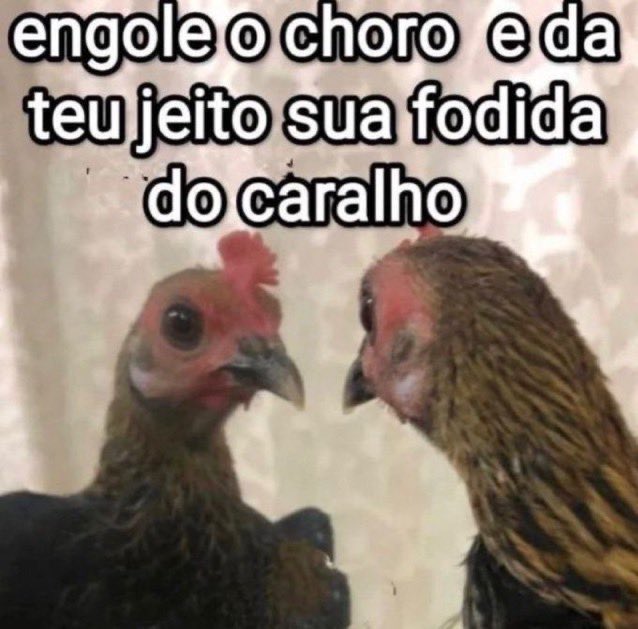 eu tendo que me reeguer nessa energia aqui