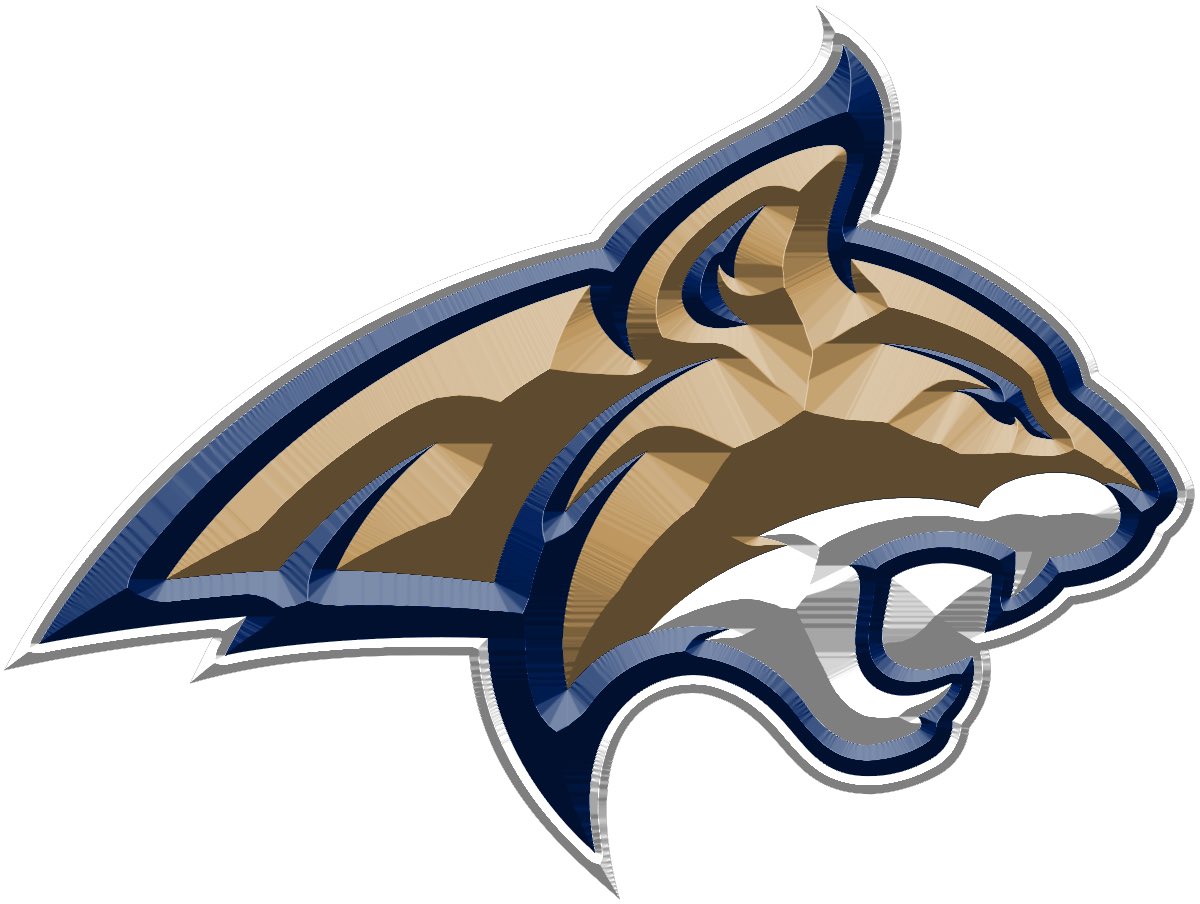 MONTANA STATE WINS THE NATIONAL CHAMPIONSHIP FOR THE FIRST TIME SINCE 1984!! AN ABSOLUTE THRILLER ALL TIME GREAT GAME. 

BEVEL THOSE BOBCATS