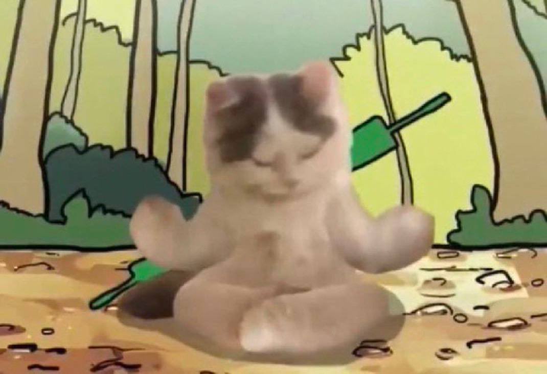 michi (@michionsolana) on Twitter photo 