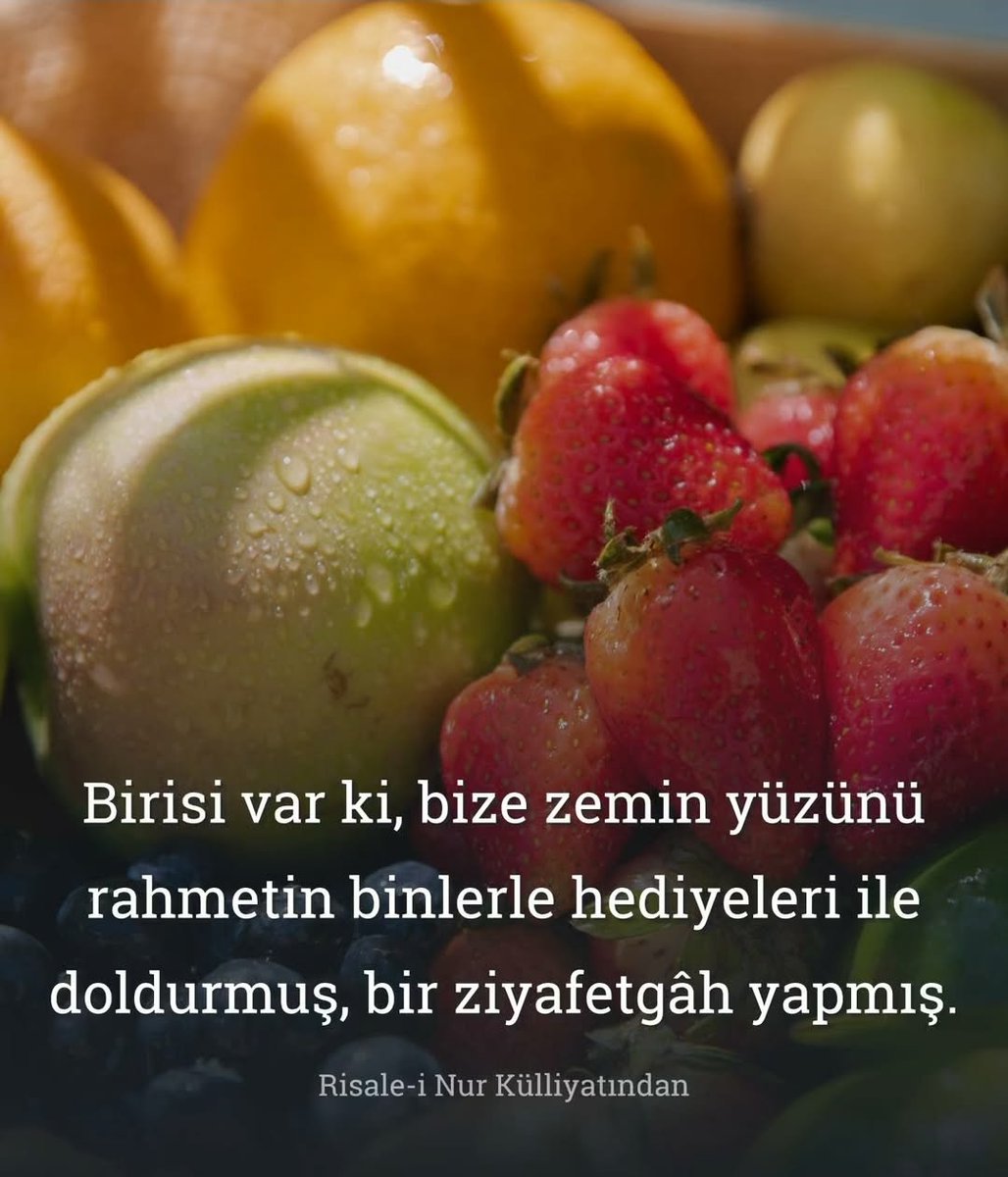Nur Tohumları (@nurtohumlari) on Twitter photo 