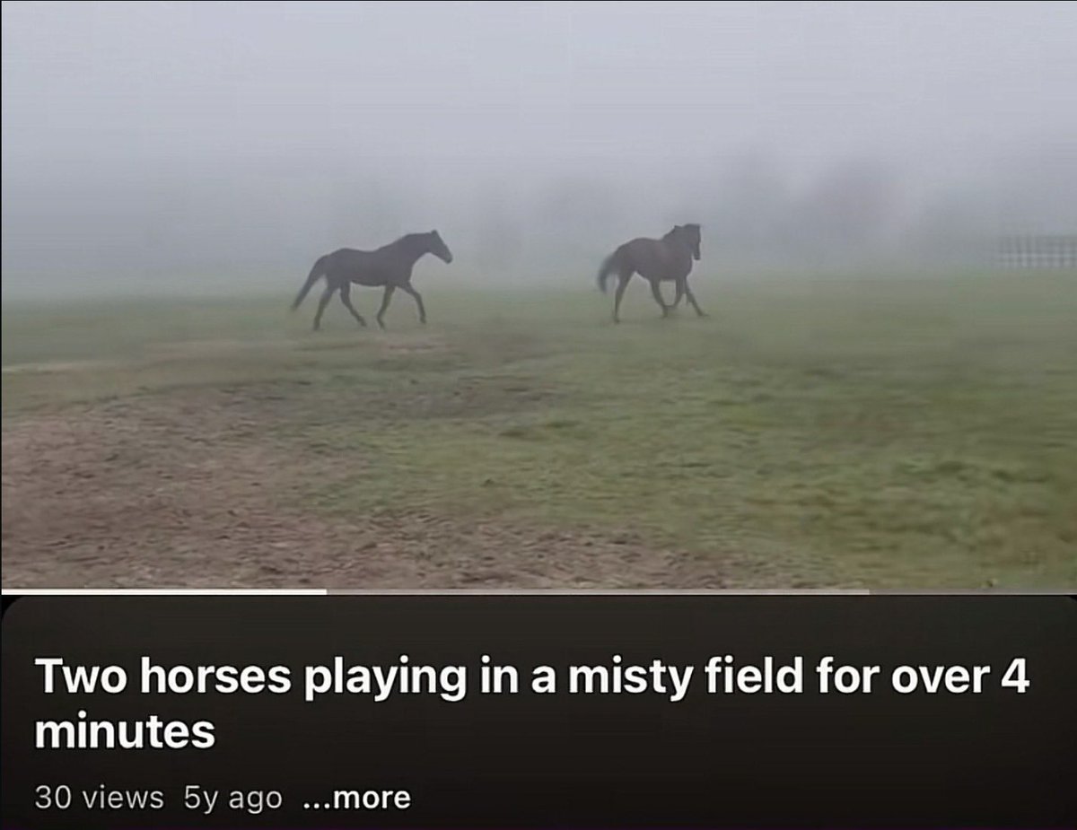 horse (archived) (@rllyhungryhorse) on Twitter photo 