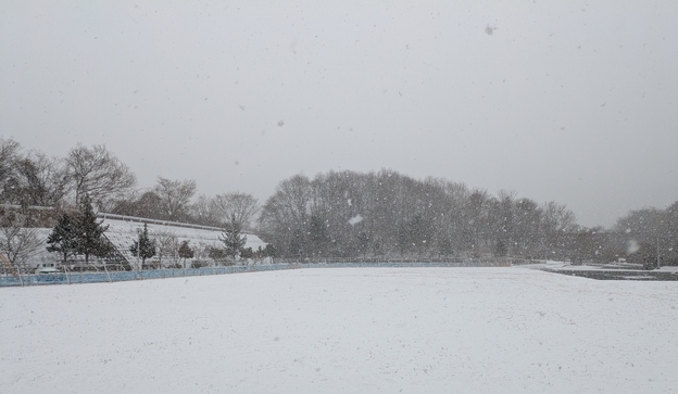 気がついたら，外は吹雪でした。
この写真を撮る前に，島根鳥取で地震ということだったので，鳥取のフレンド局に電話をしました。
鳥取市の揺れはそれほどでもないとのことでした。安心。