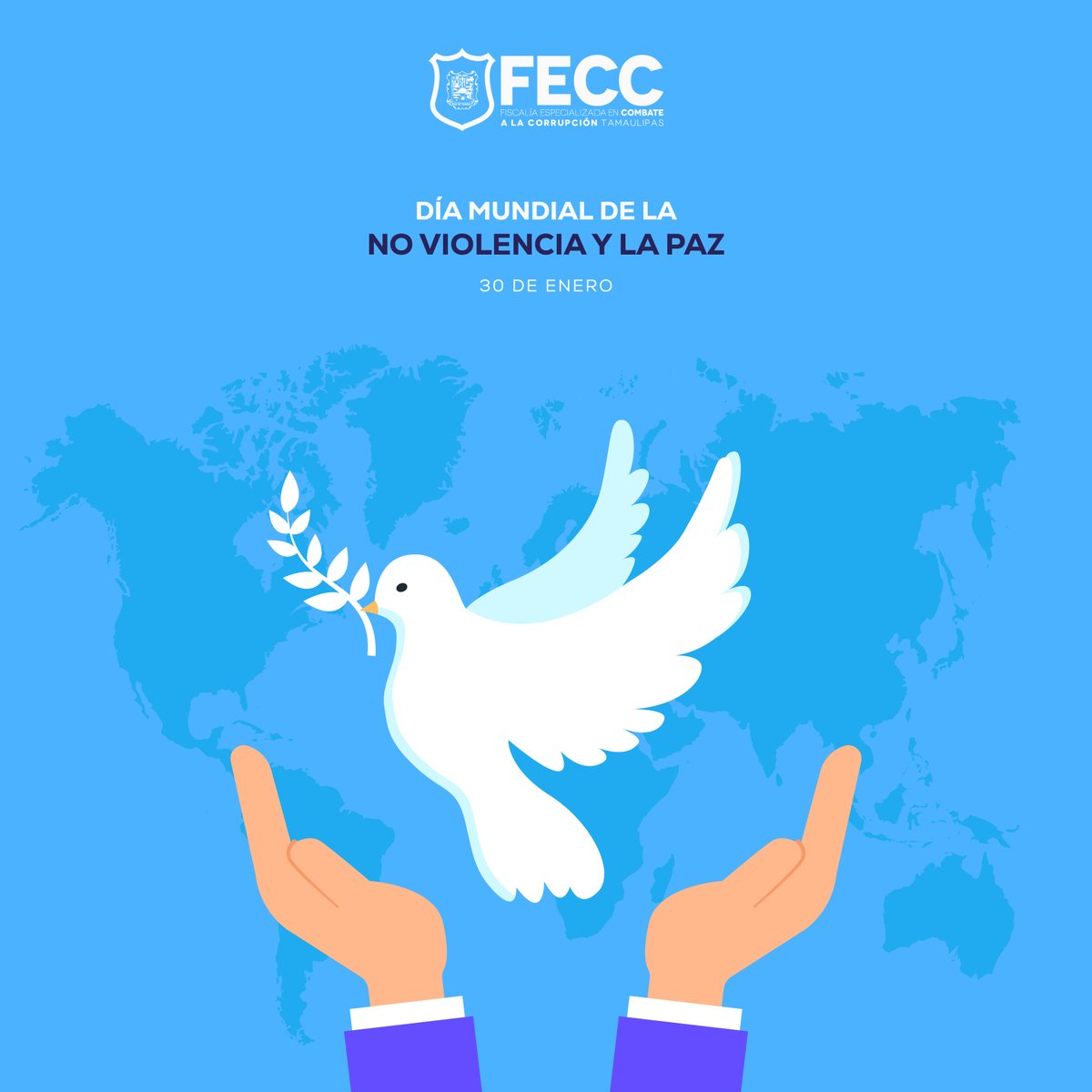 Fiscalía Especializada en Combate a la Corrupción (@fecc_tam) on Twitter photo 
