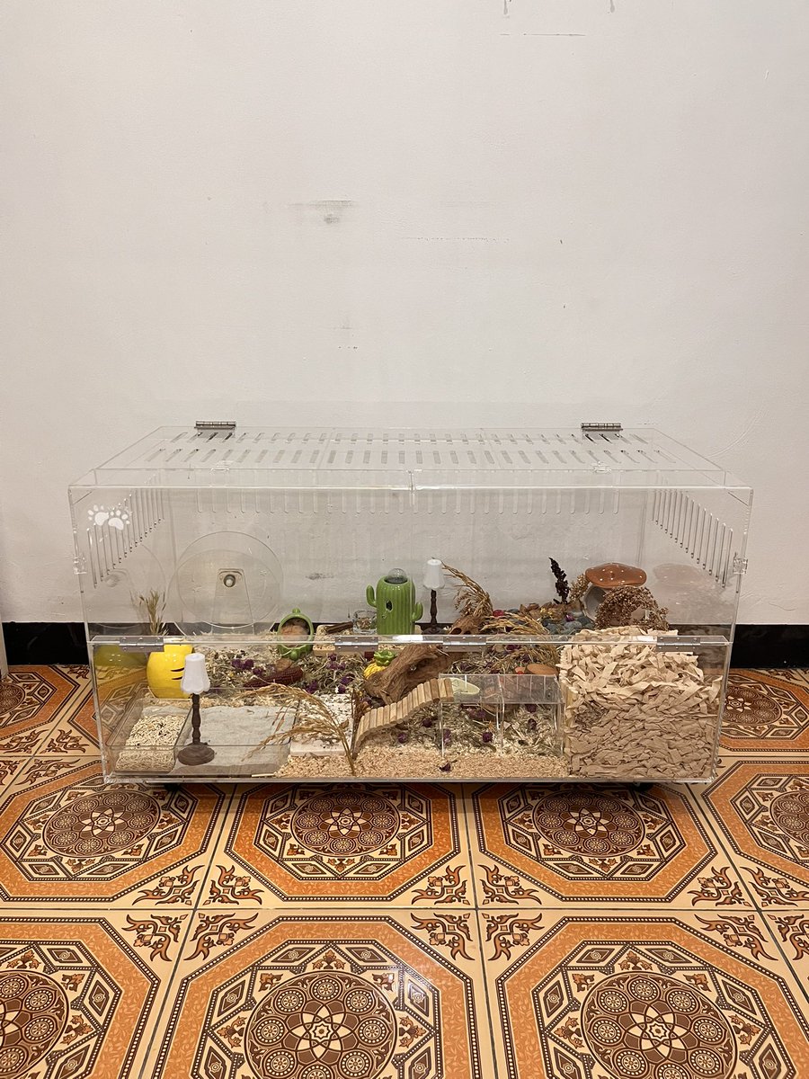 ur future tweet media