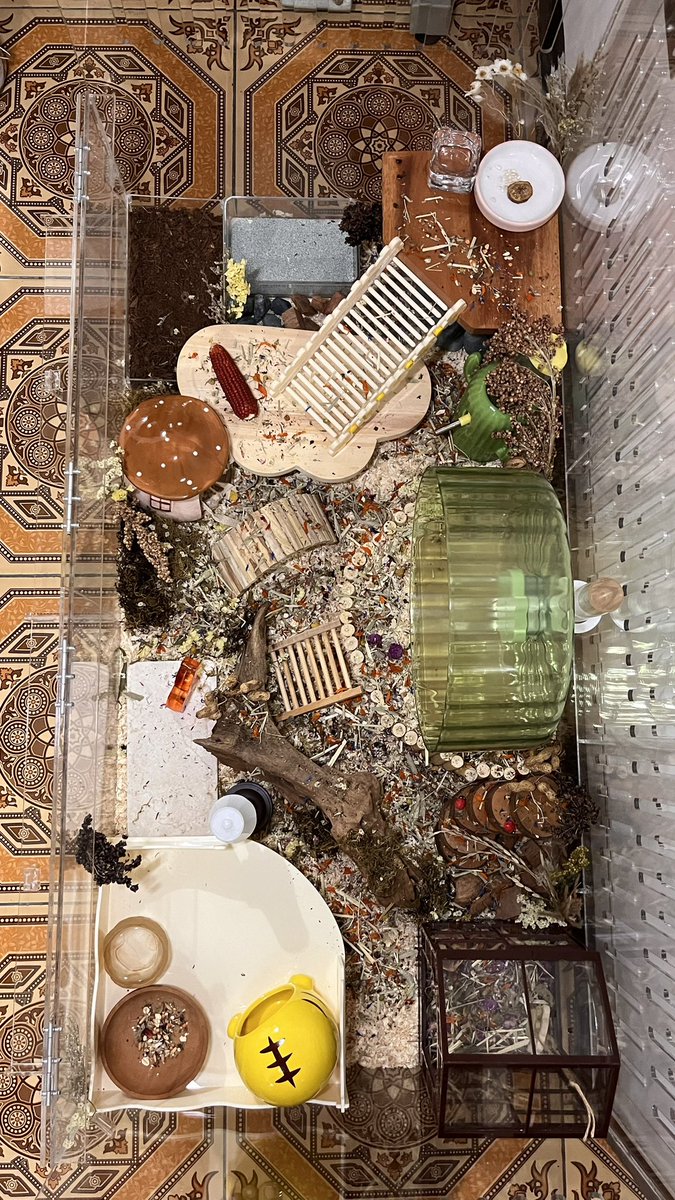 ur future tweet media