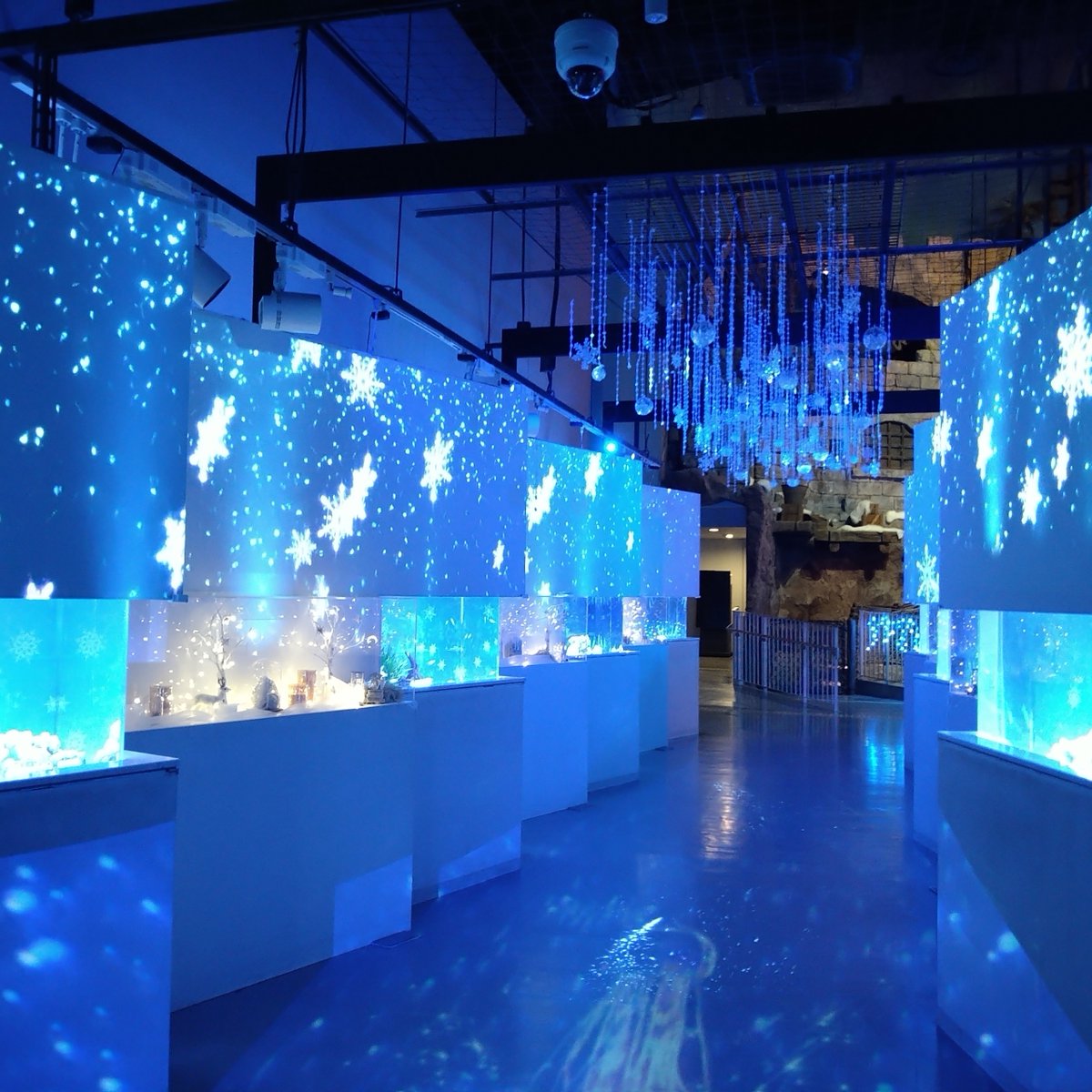 マクセル アクアパーク品川公式 (@_aquapark_) / Posts / X