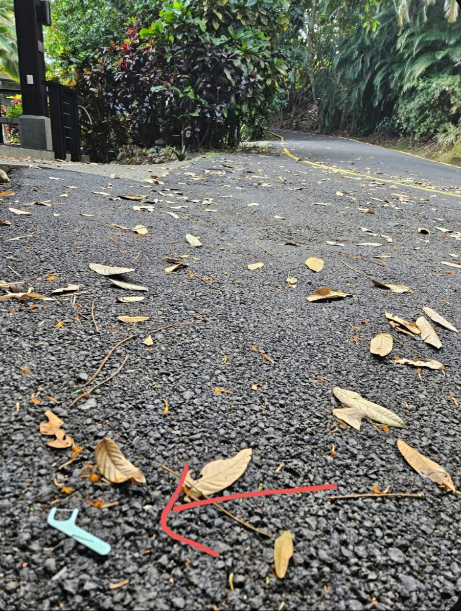 Jennifer Steen tweet media