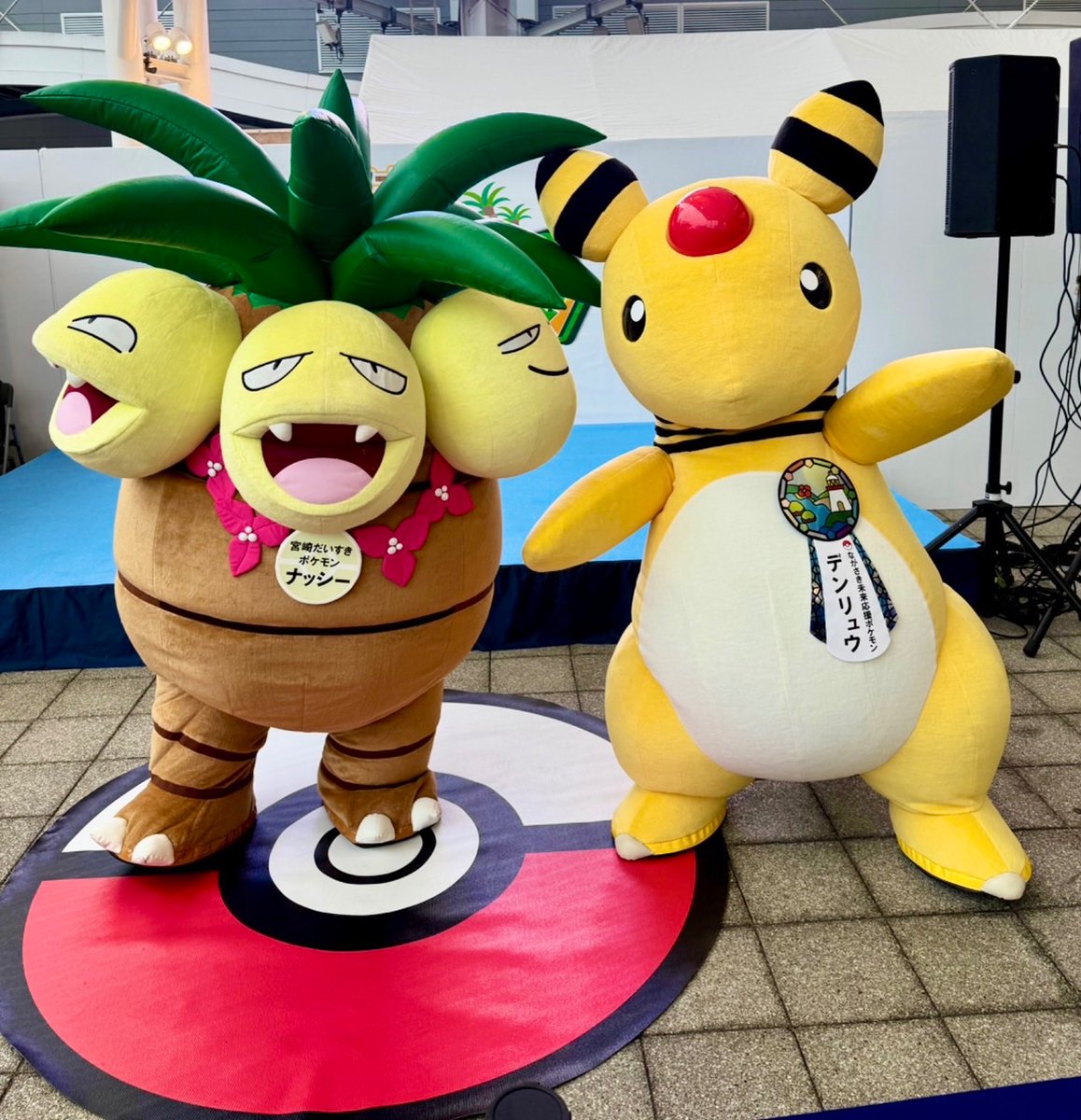 ポケモン 物産展 ローカル Acts ながさき未来応援ポケモン デンリュウ