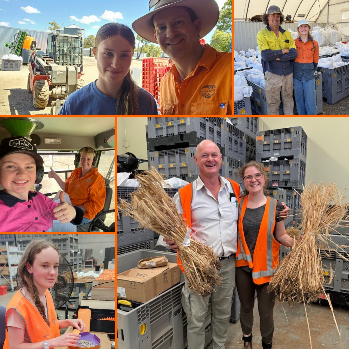 InterGrain tweet media