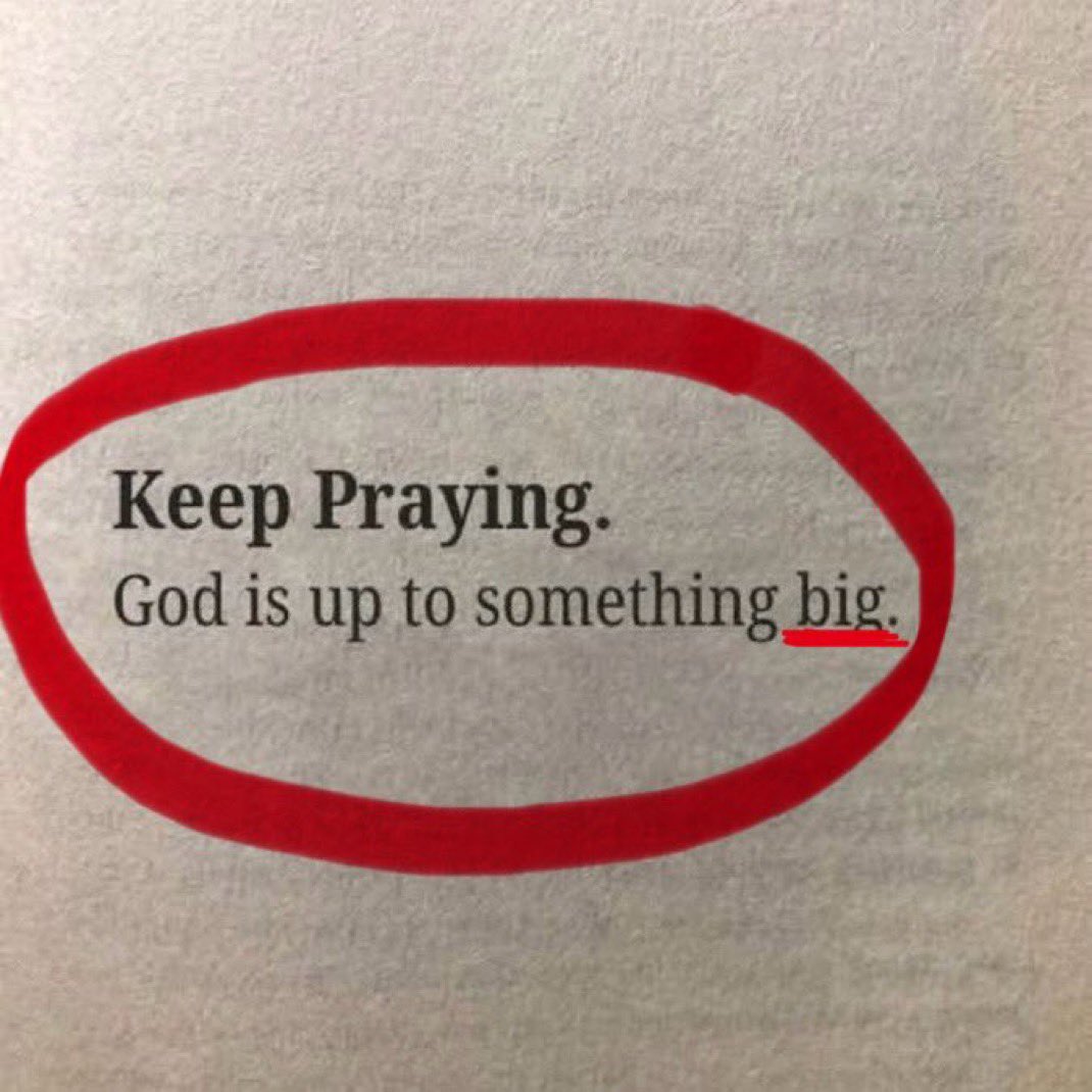 trustgodbrah's tweet image. 