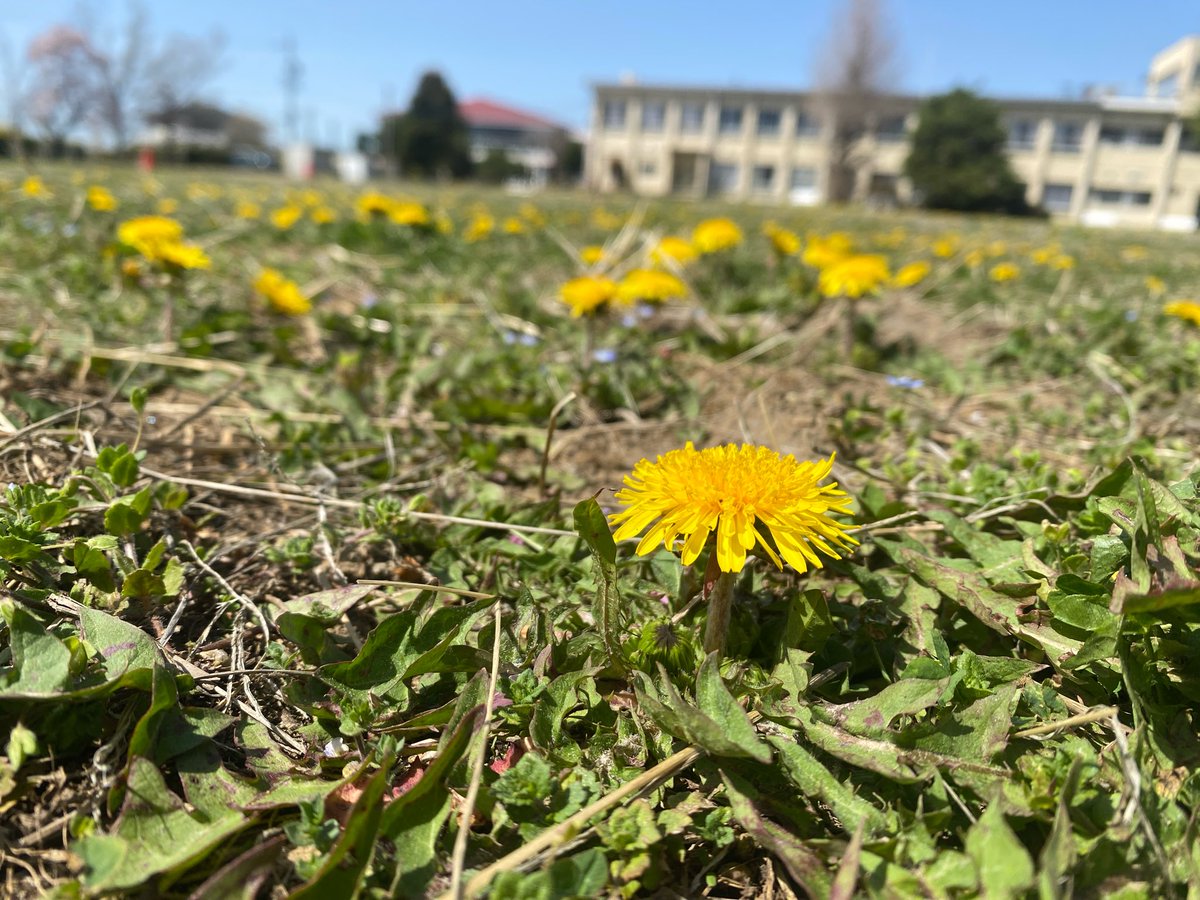 📌【第2回入学検定】
2026年1月24日（土）！
願書受付は1月5日〜16日まで（郵送必着）。
出願をお考えの方はご準備をお早めに。
#さやか星小学校 #入学検定 #2026年度入学 #長野県佐久市